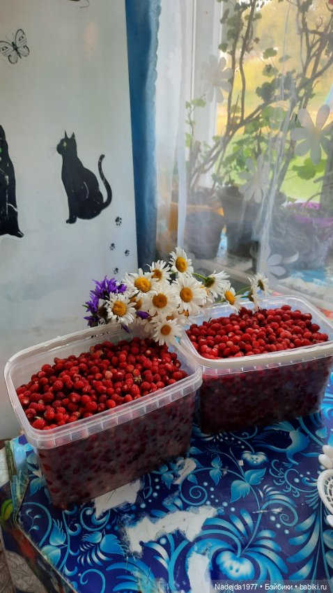 Моя работа крыса по выкройке Сары Элизабет Келлнер