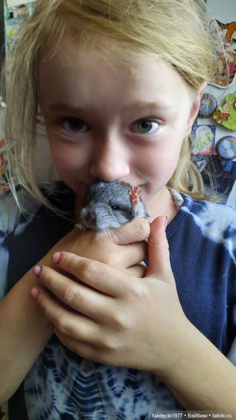 Моя работа крыса по выкройке Сары Элизабет Келлнер