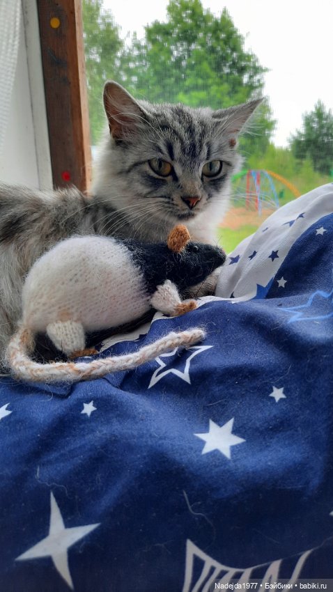 Моя работа крыса по выкройке Сары Элизабет Келлнер