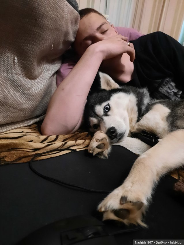 Моя работа крыса по выкройке Сары Элизабет Келлнер