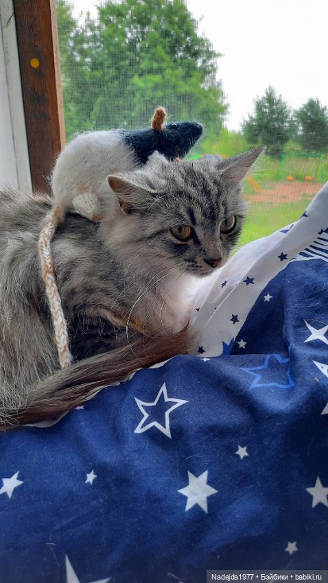 Моя работа крыса по выкройке Сары Элизабет Келлнер