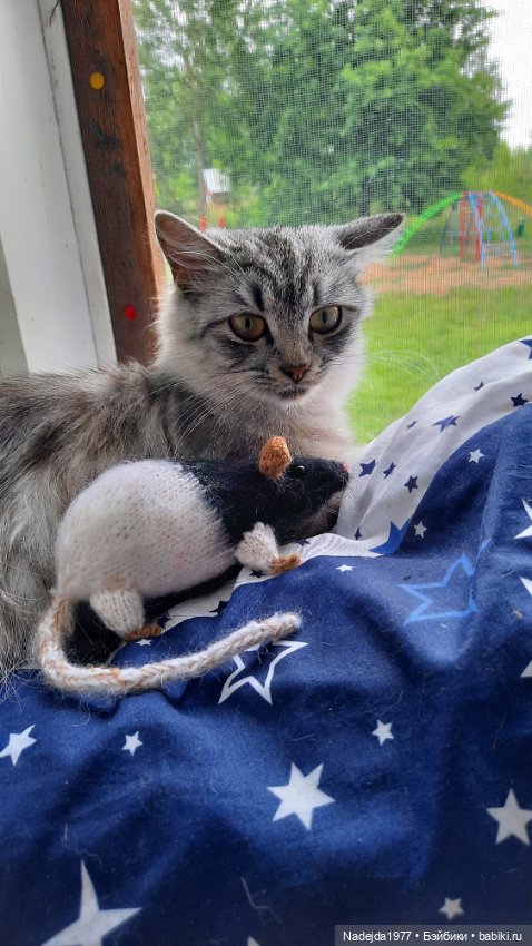 Моя работа крыса по выкройке Сары Элизабет Келлнер