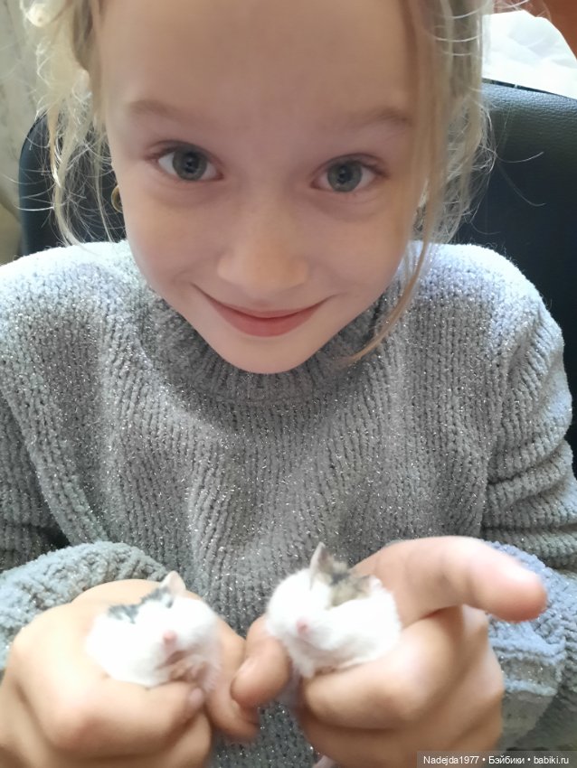 Моя работа крыса по выкройке Сары Элизабет Келлнер