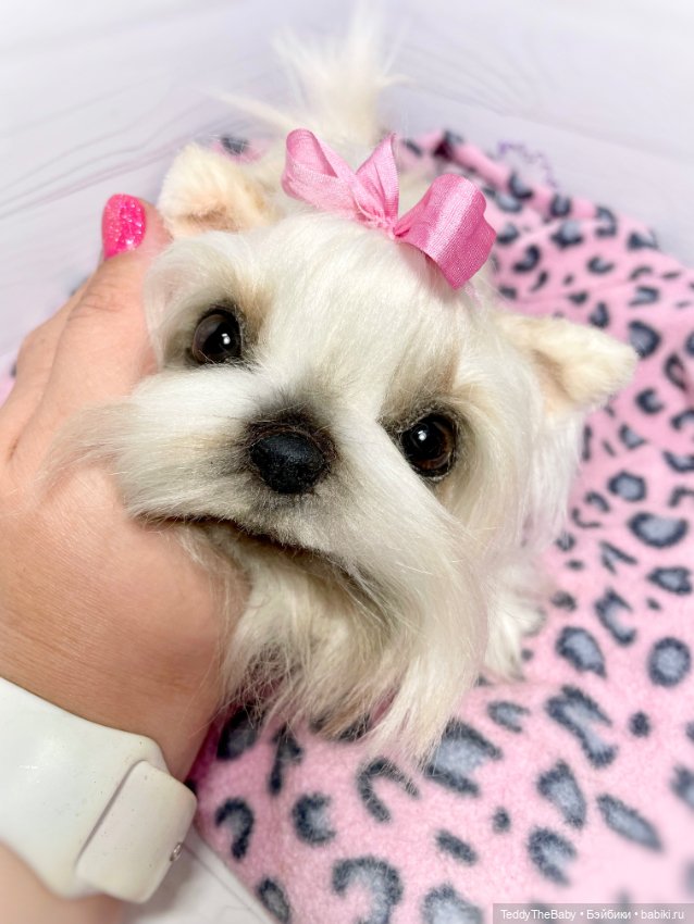 Амели 🐶 — Реалистичные игрушки и звери (Натюр): собаки (фото 4)