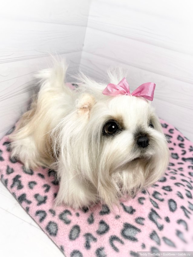 Амели 🐶 — Реалистичные игрушки и звери (Натюр): собаки