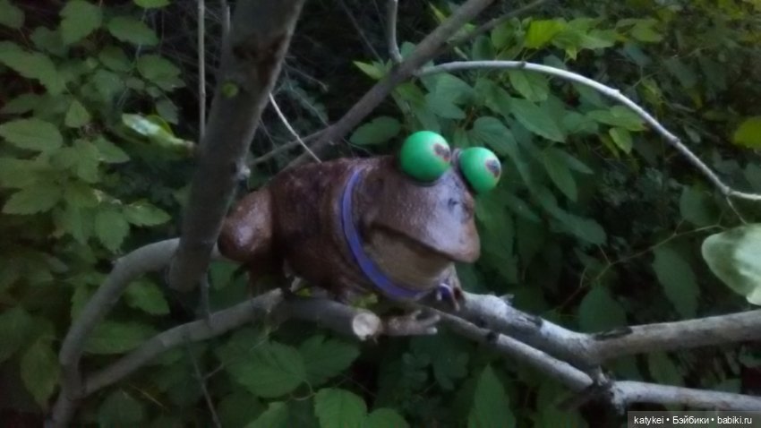 Подарок со смыслом — Домашние фото авторских игрушек: Тедди