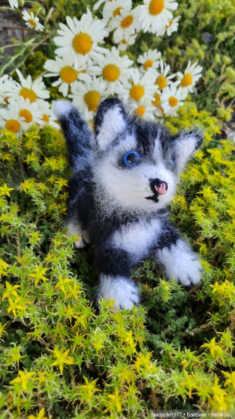 Новая работа хасёнок — Вязаные игрушки и амигуруми: крючком