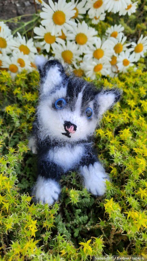 Новая работа хасёнок — Вязаные игрушки и амигуруми: крючком (фото 10)