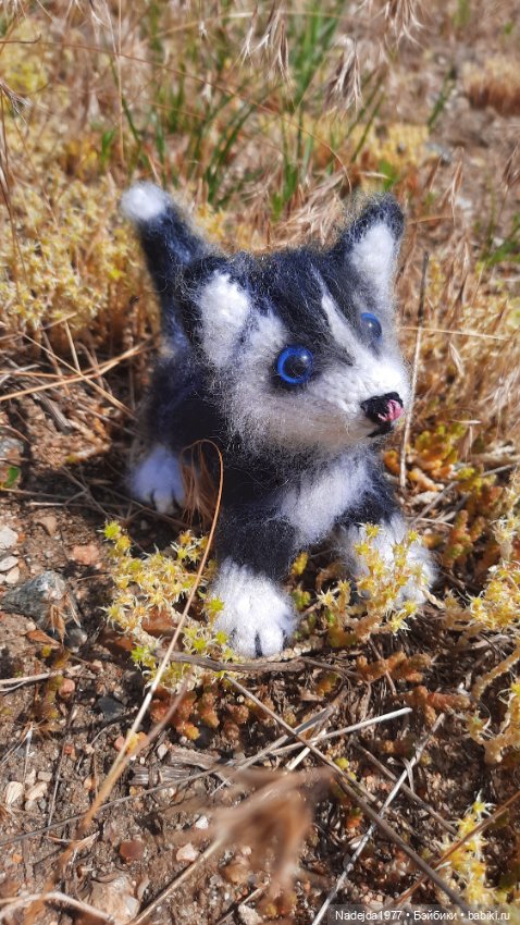 Новая работа хасёнок — Вязаные игрушки и амигуруми: крючком (фото 7)