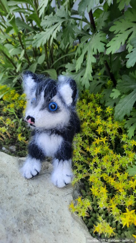 Новая работа хасёнок — Вязаные игрушки и амигуруми: крючком (фото 2)