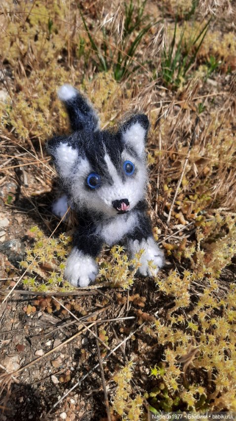 Новая работа хасёнок — Вязаные игрушки и амигуруми: крючком (фото 4)