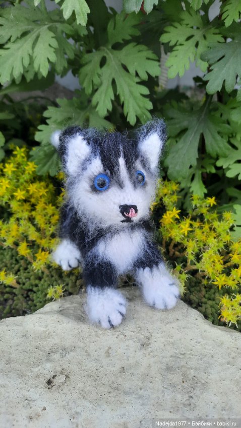 Новая работа хасёнок — Вязаные игрушки и амигуруми: крючком