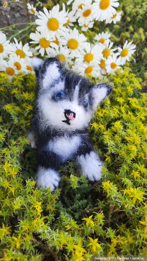 Новая работа хасёнок — Вязаные игрушки и амигуруми: крючком