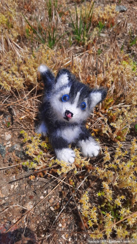 Новая работа хасёнок — Вязаные игрушки и амигуруми: крючком (фото 8)