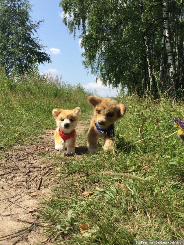 Реалистичные мягкие игрушки. Мы погуляли с Домиником и Хатико 🐕