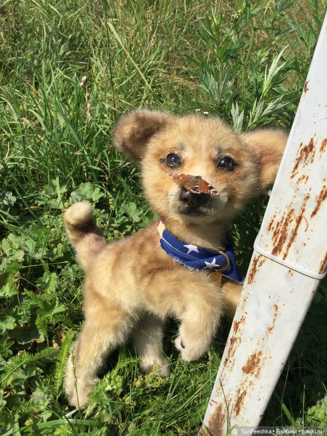 Реалистичные мягкие игрушки. Мы погуляли с Домиником и Хатико 🐕 (фото 7)