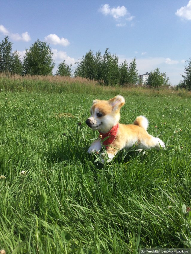 Реалистичные мягкие игрушки. Мы погуляли с Домиником и Хатико 🐕 (фото 10)