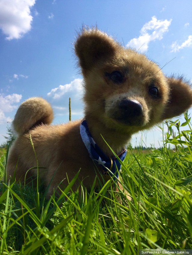 Реалистичные мягкие игрушки. Мы погуляли с Домиником и Хатико 🐕