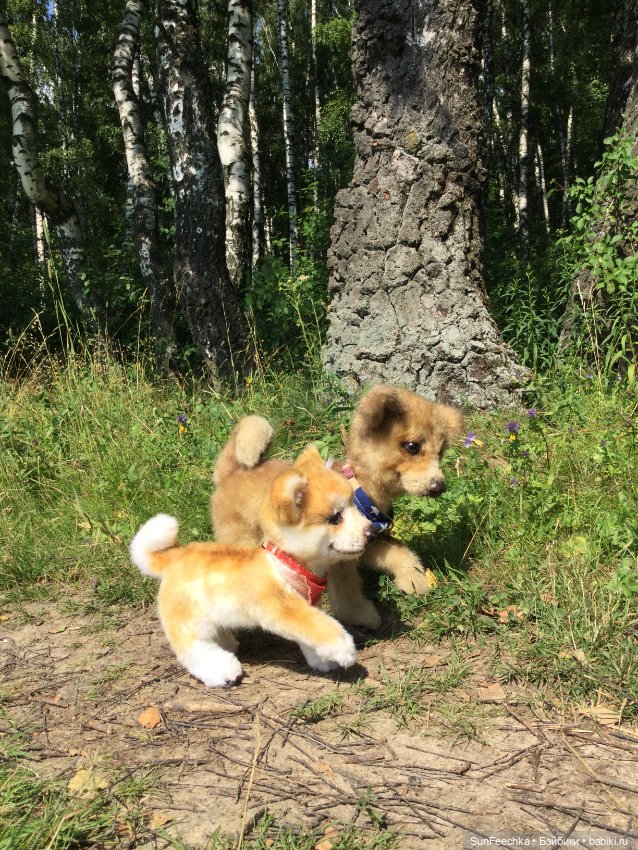 Реалистичные мягкие игрушки. Мы погуляли с Домиником и Хатико 🐕