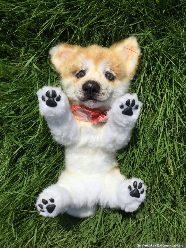 Реалистичные мягкие игрушки. Мы погуляли с Домиником и Хатико 🐕 (фото 3)