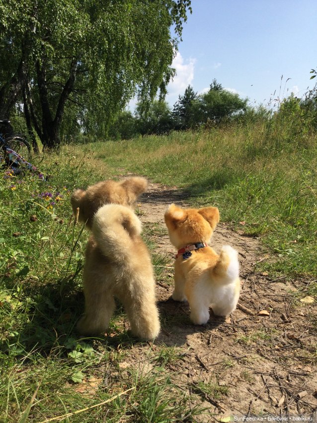 Реалистичные мягкие игрушки. Мы погуляли с Домиником и Хатико 🐕