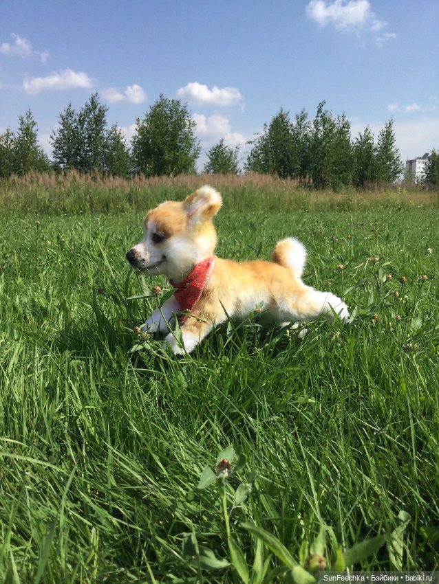 Реалистичные мягкие игрушки. Мы погуляли с Домиником и Хатико 🐕 (фото 9)