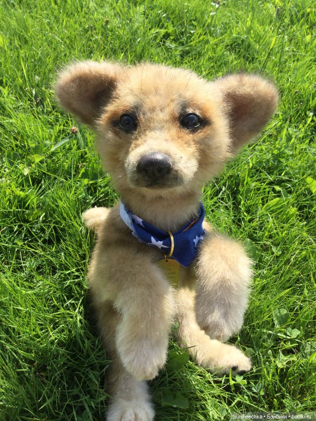 Реалистичные мягкие игрушки. Мы погуляли с Домиником и Хатико 🐕 (фото 4)