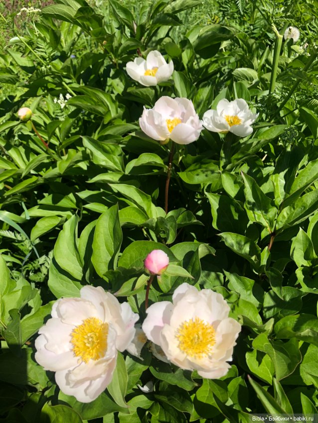 Лето жаркое — Туризм и путешествия: фотоотчеты из поездок