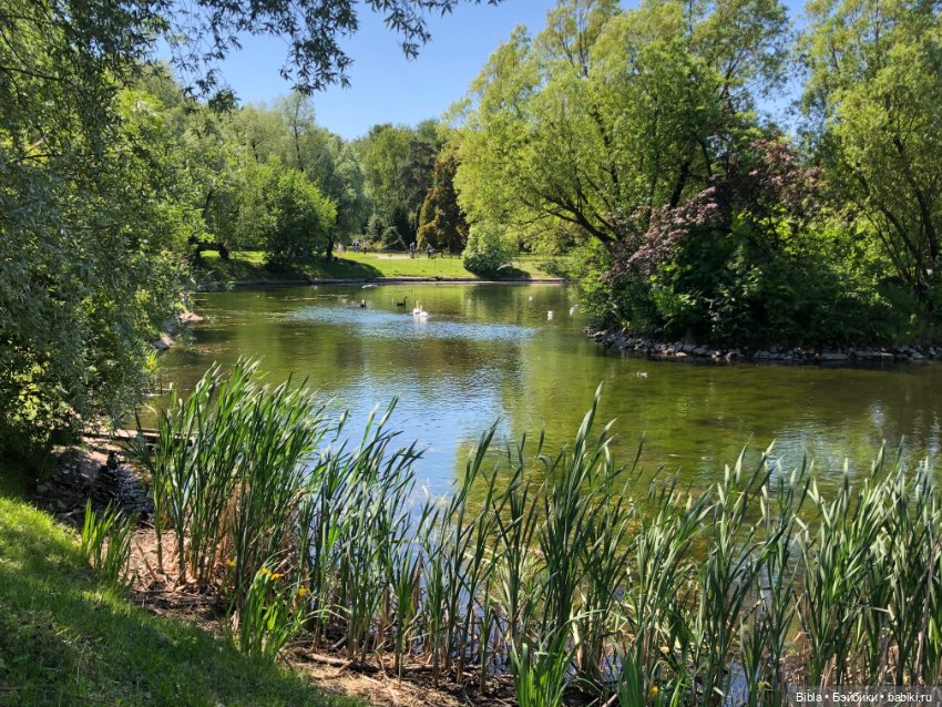 Лето жаркое — Туризм и путешествия: фотоотчеты из поездок