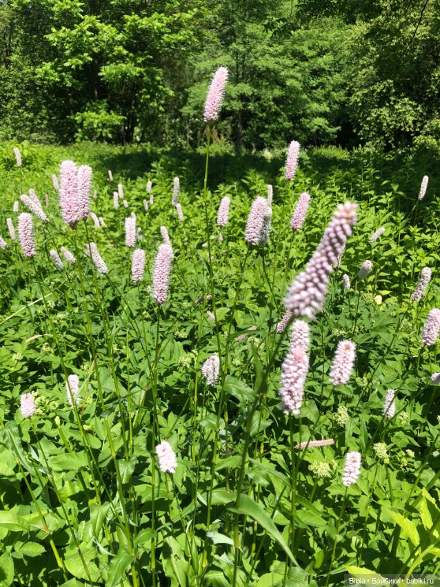 Лето жаркое — Туризм и путешествия: фотоотчеты из поездок