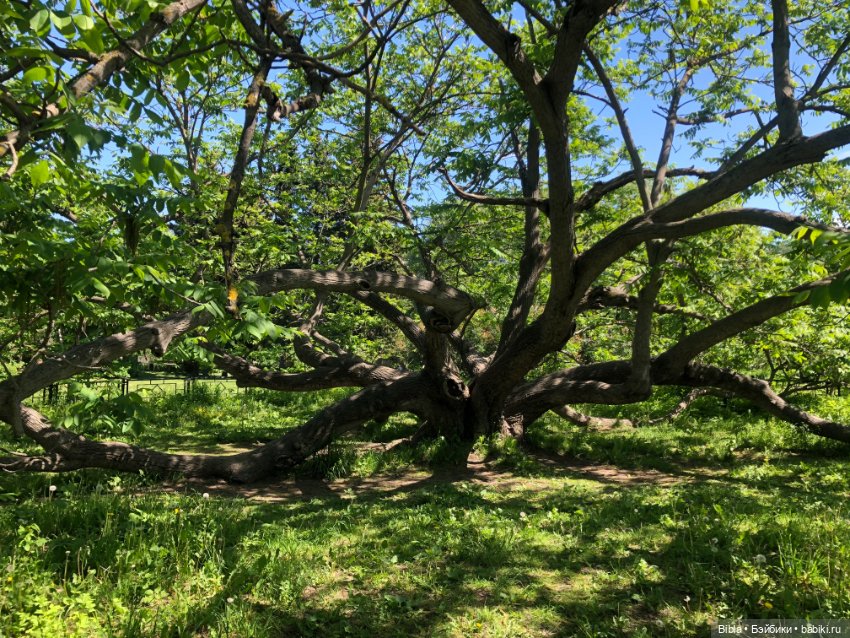 Лето жаркое — Туризм и путешествия: фотоотчеты из поездок