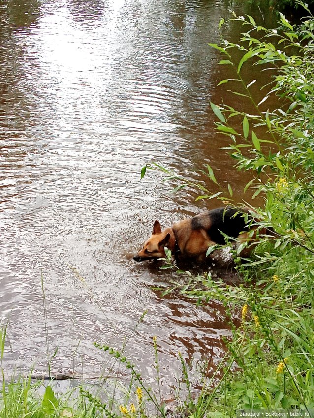 Недалеко от нашего дома или на разведку за красотой