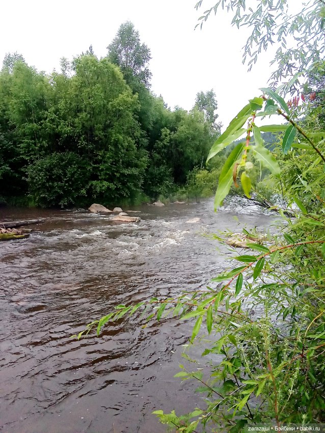 Недалеко от нашего дома или на разведку за красотой