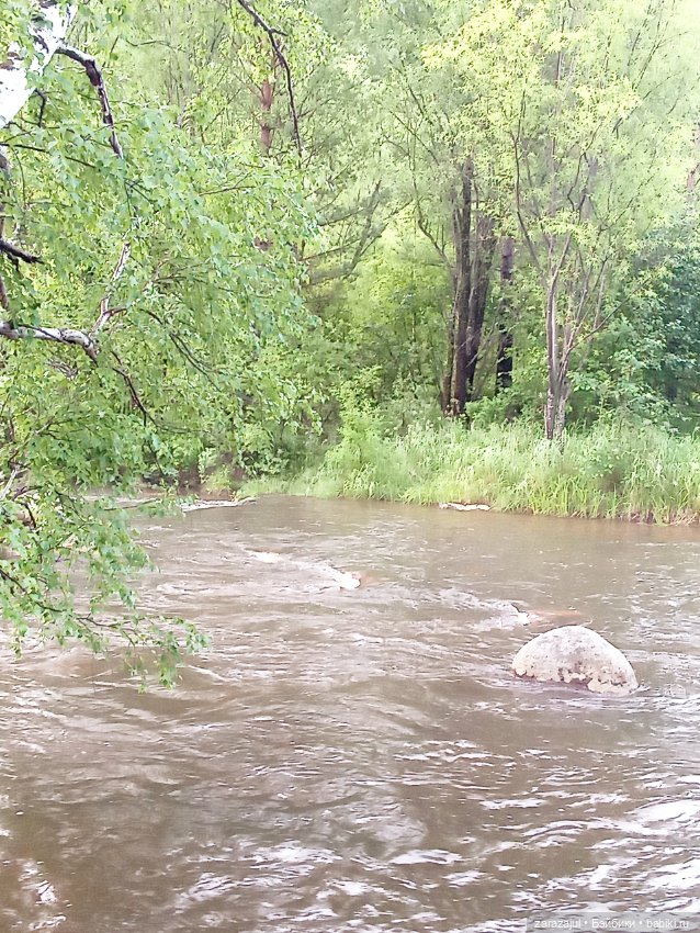 Недалеко от нашего дома или на разведку за красотой (фото 6)