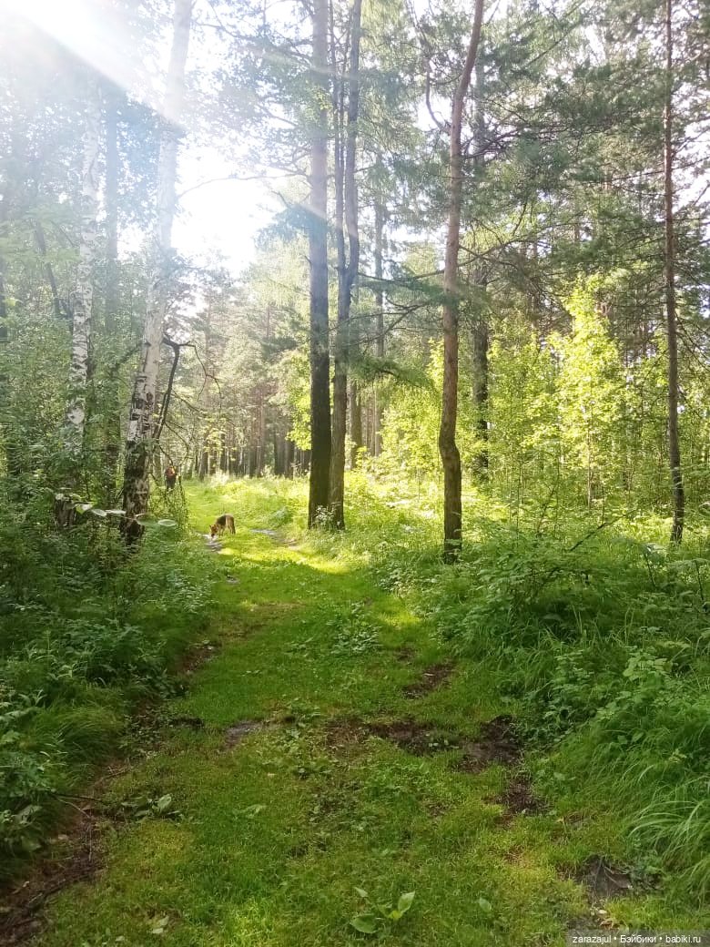 Недалеко от нашего дома или на разведку за красотой (фото 10)