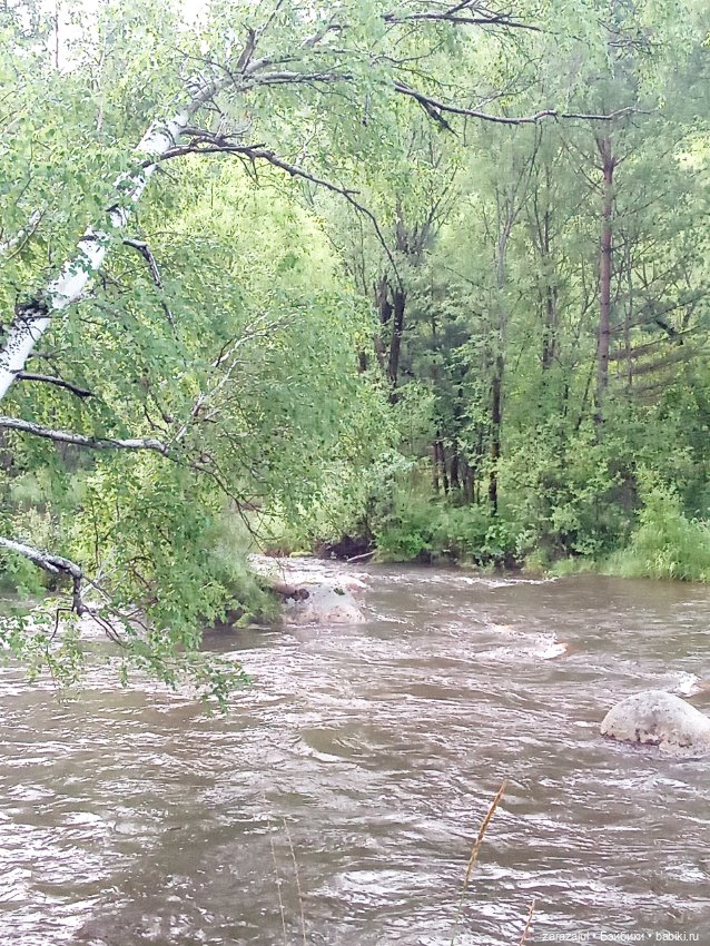 Недалеко от нашего дома или на разведку за красотой (фото 7)