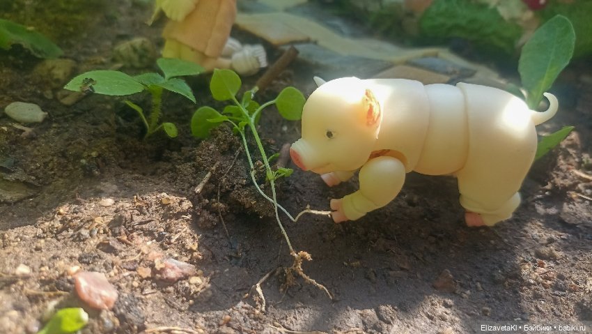 Сажаем. Realpuki. 169 — Фотоистории с куклами BJD (БЖД): сериалы (фото 7)