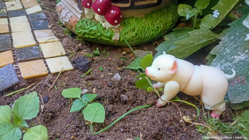 Сажаем. Realpuki. 169 — Фотоистории с куклами BJD (БЖД): сериалы (фото 5)