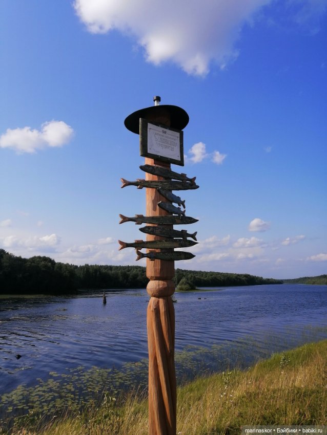 Путешествие к истокам. Вдохновляюсь северной деревней