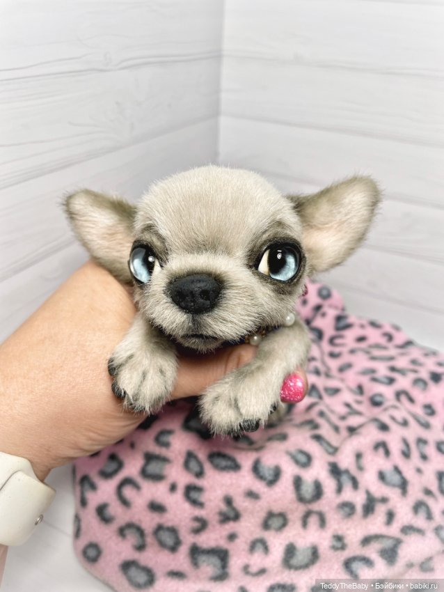Baby 🐾🐶 — Реалистичные игрушки и звери (Натюр): собаки