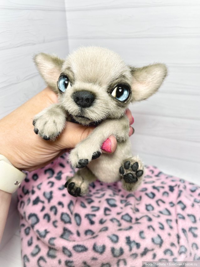 Baby 🐾🐶 — Реалистичные игрушки и звери (Натюр): собаки