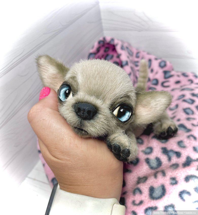 Baby 🐾🐶 — Реалистичные игрушки и звери (Натюр): собаки