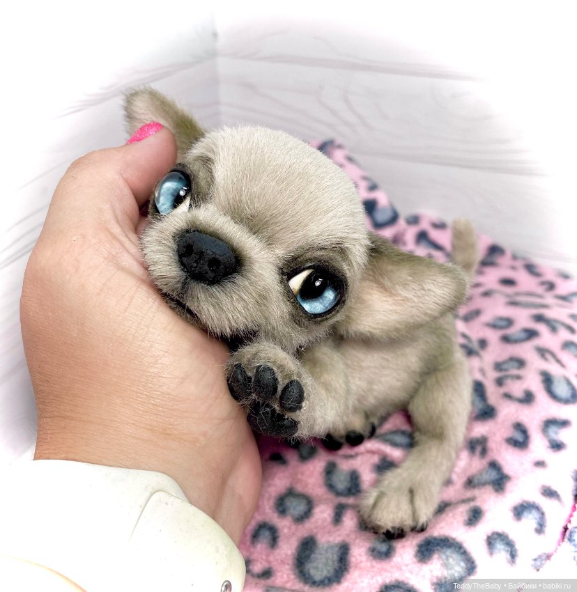 Baby 🐾🐶 — Реалистичные игрушки и звери (Натюр): собаки