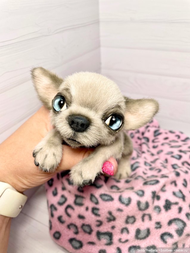 Baby 🐾🐶 — Реалистичные игрушки и звери (Натюр): собаки
