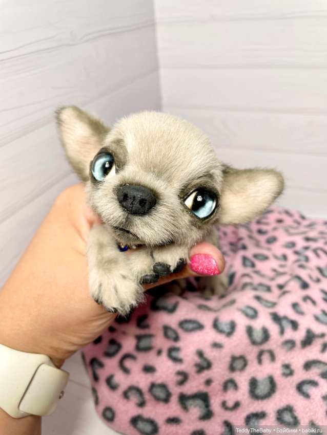 Baby 🐾🐶 — Реалистичные игрушки и звери (Натюр): собаки