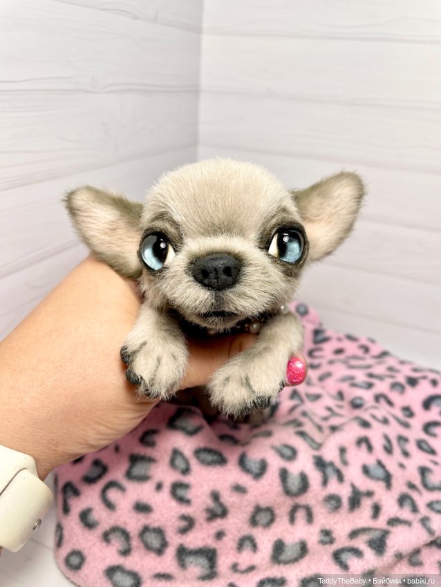 Baby 🐾🐶 — Реалистичные игрушки и звери (Натюр): собаки