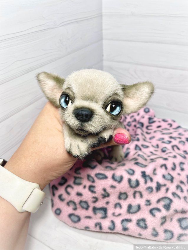 Baby 🐾🐶 — Реалистичные игрушки и звери (Натюр): собаки