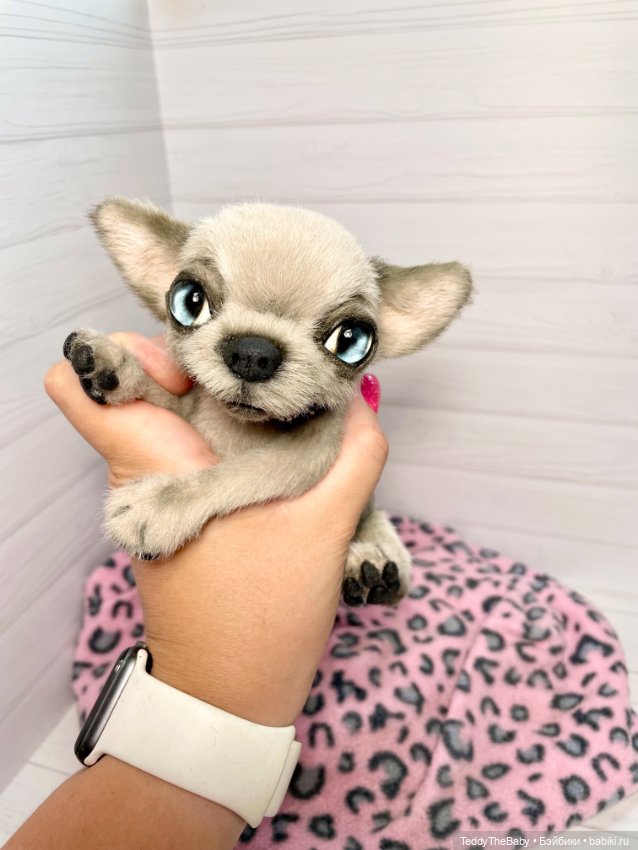 Baby 🐾🐶 — Реалистичные игрушки и звери (Натюр): собаки (фото 8)