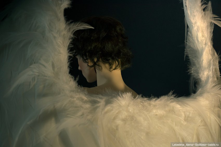 Ангелофрения — Куклы 5th Motif: корейские BJD (БЖД) (фото 6)