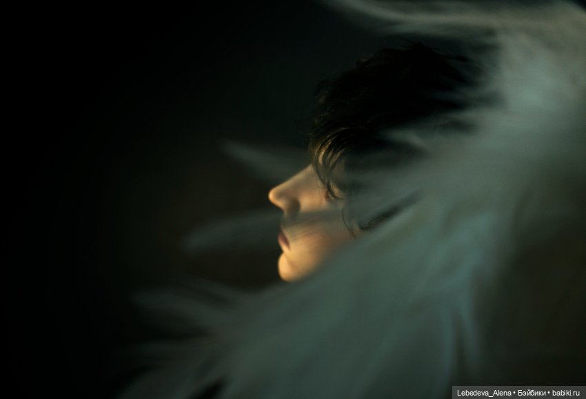 Ангелофрения — Куклы 5th Motif: корейские BJD (БЖД) (фото 9)